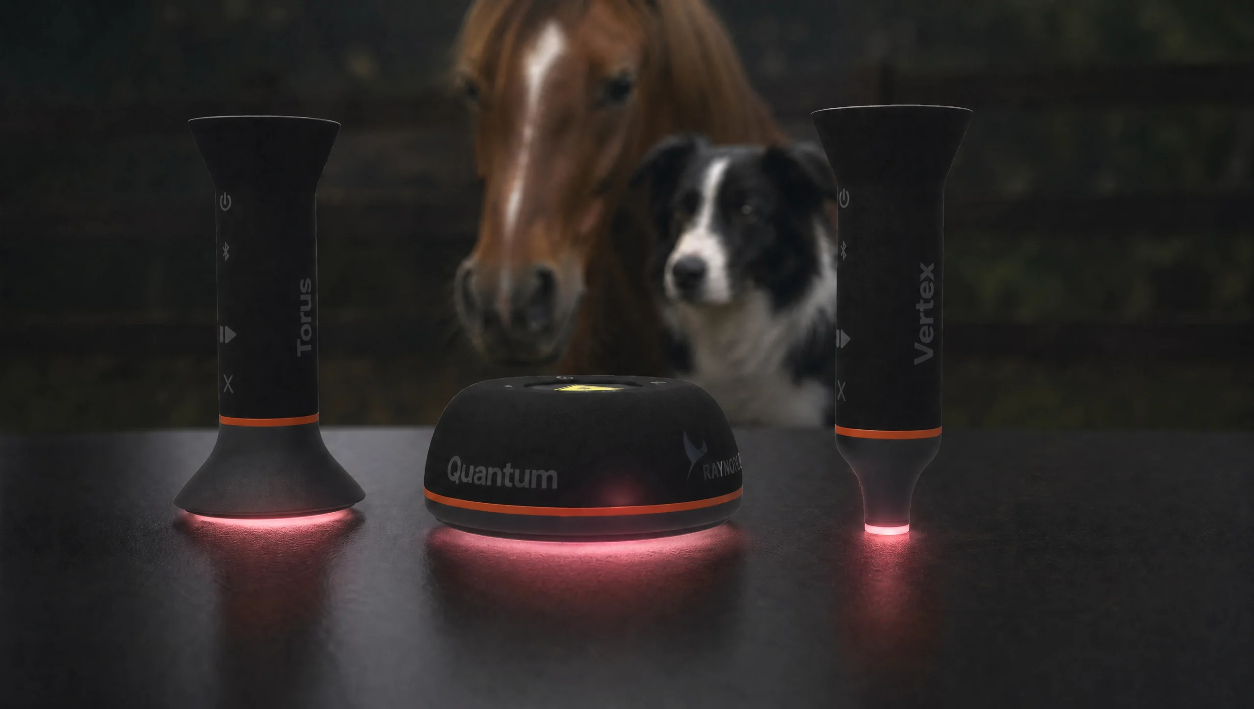 RAYMOVE Laser Produktfamilie